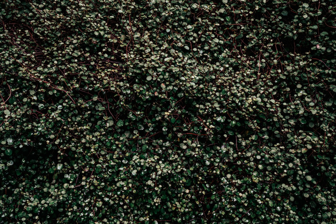 Image default